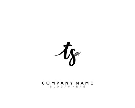 TS Initial Handwriting Logo Template Vector