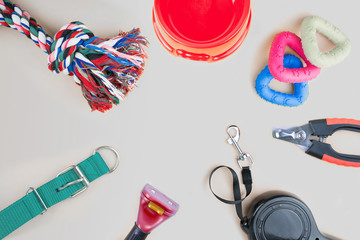 Pet supplies with copy space on grey background
