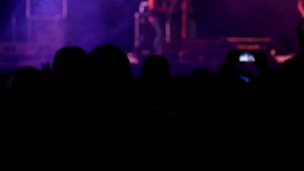 Cheering crowd people enjoying outdoor music concert festival.