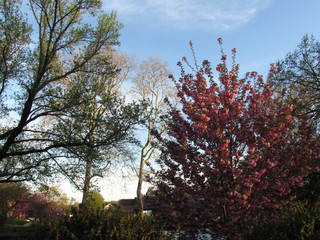 Light Playing with Landscape