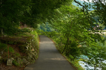 Fototapeta na wymiar Nature pathway with beautiful scenery