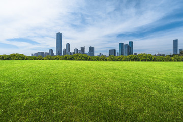 cityscape and skyline of shenzhen from meadow in park