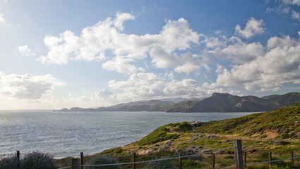 Marin headland scenic view in San Francisco