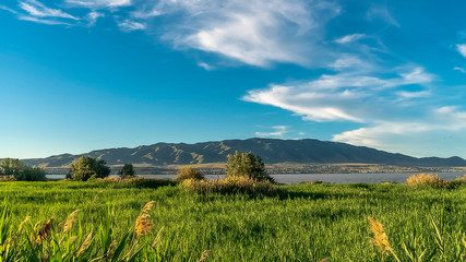 Panorama Grasses at the foreground of a lake with cloudy blue sky overhead on a sunny day