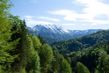 Fototapeta na wymiar snow covered mountain range , named Ötscher, in lower Austria with a lush forest in the foreground