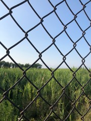 Fototapeta premium fence with barbed wire