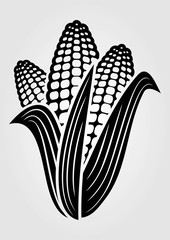 Corn icon isolated on white background. Vector illustration.