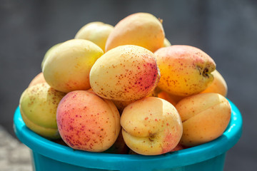 pile of fresh and sweet apricots