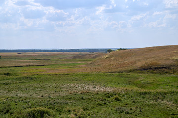 Panoramic view of endless Russian steppe with hills and ravines, covered with wild low grass and lone trees, under the bright rays of hot southern sun.