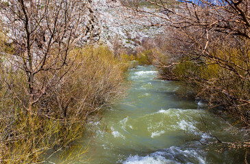 Rough river in the mountains