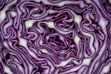 Fototapeta premium Background of the blue cabbage in the cut. Close up, top view. Texture raw purple cabbage
