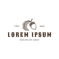 Single acorn hand drawn vintage logo design © lineandcircle