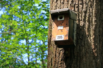 birdhouse in the autumn forest