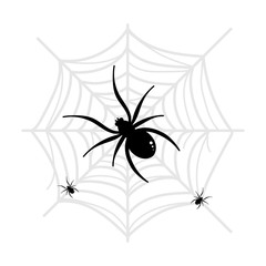 Spiders sitting on spider web, cobweb, vector illustration for halloween design.