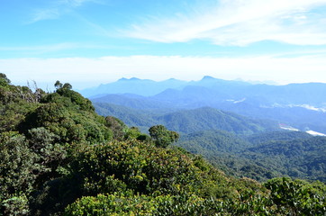 Naklejka premium View of mountains and the tropical forest