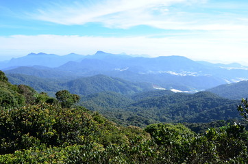 View of mountains and the tropical forest