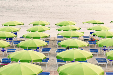 Liso con ombrelloni verdi