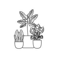 Isolated plants inside pots vector design