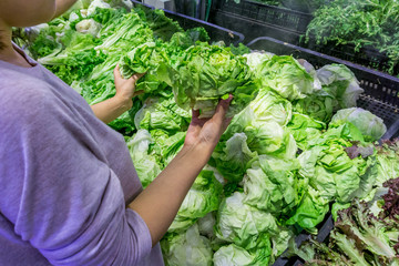 Lady choosing fresh salad at vegetables stall in market