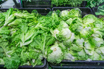 Various kinds of green salad for sale at supermarket