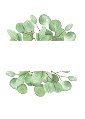Eucalyptus frame composition. Watercolor hand drawn illustration