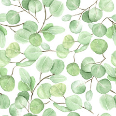 Seamless floral pattern with eucalyptus branches. Watercolor hand drawn illustration on the white background