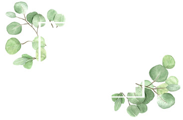 Eucalyptus frame composition. Watercolor hand drawn illustration