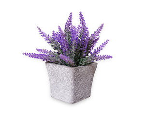 Lavender plastic flower in a pot isolated on white background. This has clipping path.