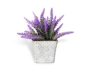 Lavender plastic flower in a pot isolated on white background. This has clipping path.