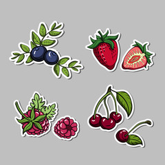 Stickers With Berries Set