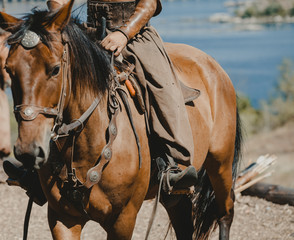 Cossack in trousers sits on horse
