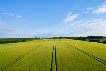 La campagne française et une forêt au milieu des champs