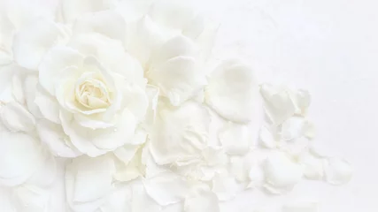  Mooie witte roos en bloemblaadjes op witte achtergrond. Ideaal voor wenskaarten voor bruiloft, verjaardag, Valentijnsdag, Moederdag © OLAYOLA