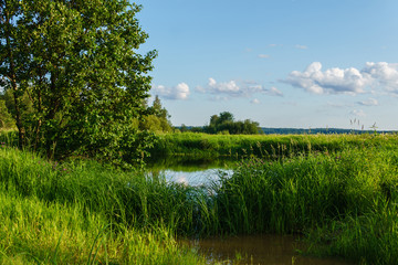 a small lake among the grass in the river delta