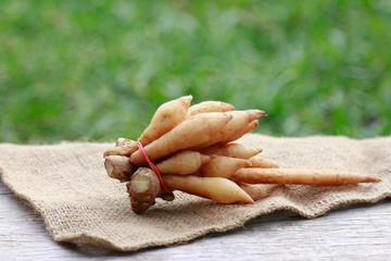 Finger root herb on wooden table for cooking 