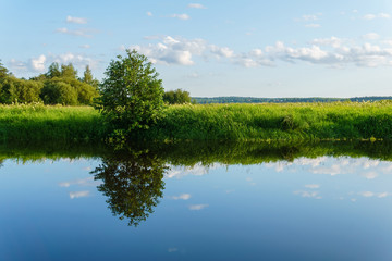 Fototapeta na wymiar summer landscape of a calm oxbow lake with grassy shores