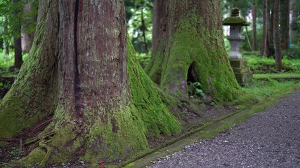 Oyama shrine in Toyama, Japan.