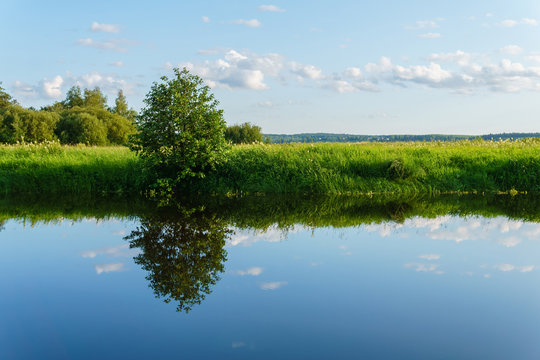 summer landscape of a calm oxbow lake with grassy shores