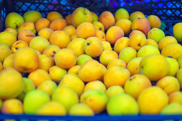 ripe juicy apricots on a store counter. close-up. selective focus