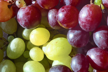 A bunch of ripe white and red table grapes 