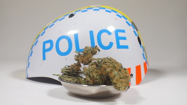 lab weed research, smuggling retention