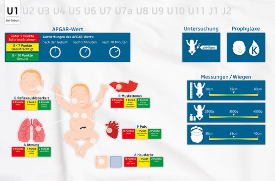 U1 Untersuchung Geburt Baby infografik