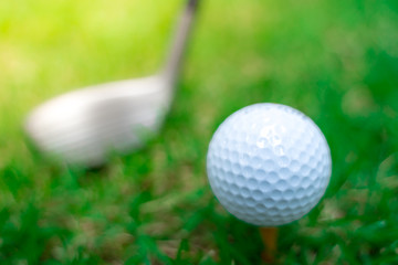 golf ball close-up in soft focus at sunlight with Green grass. wide landscape as background ,Sport playground for golf club concept.shallow focus effect.
