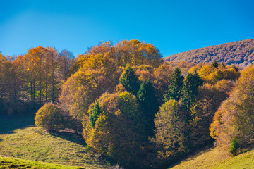 The plateau of Cansiglio