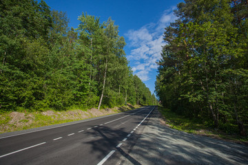 The road in the forest. Asphalt road in the forest between the trees. Picturesque Sunny Route