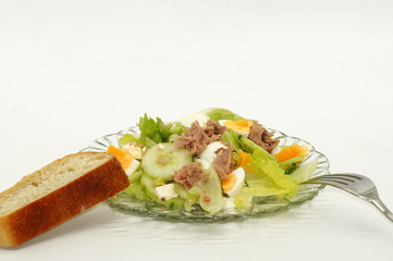 Frischer Salat mit Gurke, Ei, Käse und Thunfisch