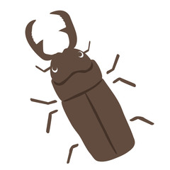 クワガタ