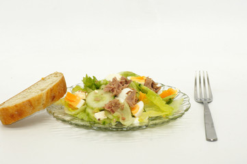 Frischer Salat mit Gurke, Ei, Käse und Thunfisch