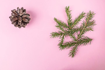 New Year, Christmas minimalistic concept: coniferous branches and pine cone on a pastel pink background. Place for text, flat lay.