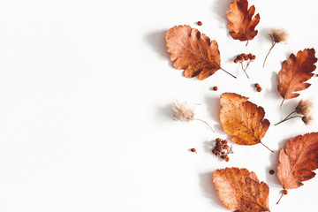 Autumn composition. Dried leaves, flowers, rowan berries on white background. Autumn, fall, thanksgiving day concept. Flat lay, top view, copy space